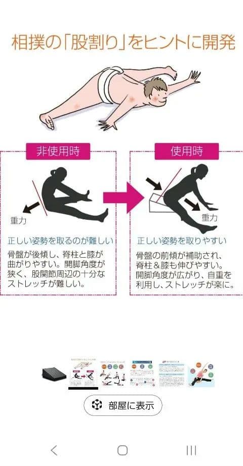 【即購入OK】サンテプラス フレックスクッション