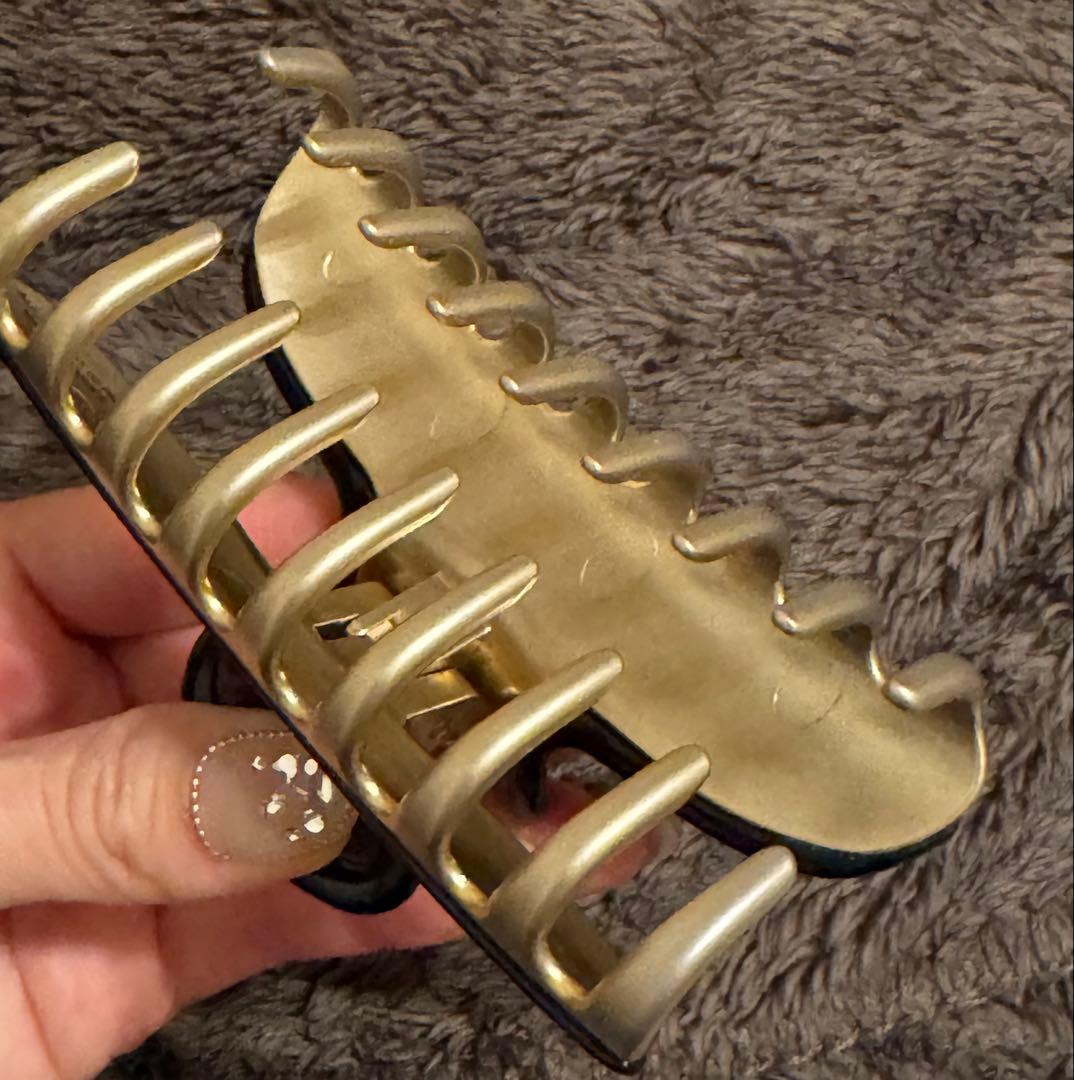 ALEXANDRE DE PARIS ヴァンドーム Lクリップ ブラック