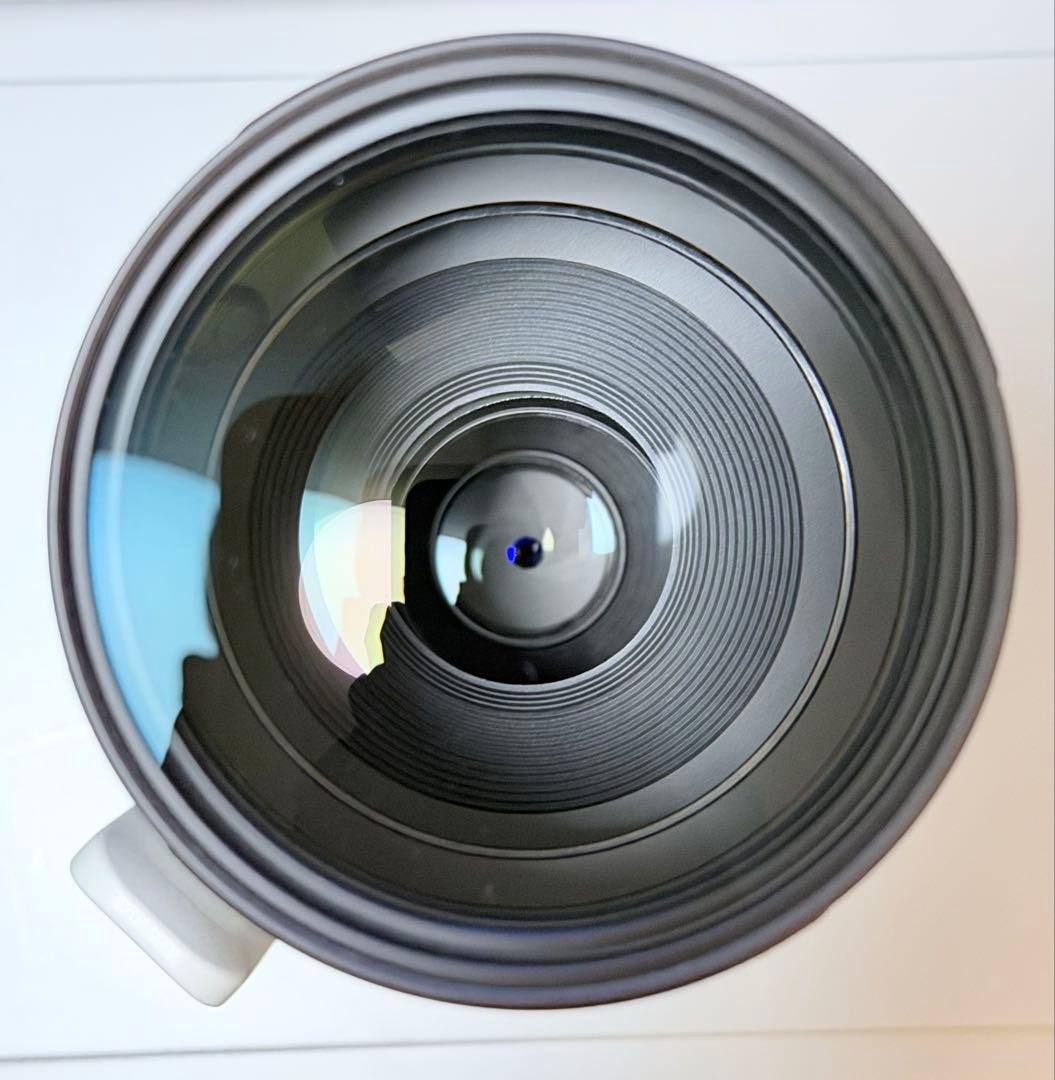 キヤノン RF200-800mm F6.3-9 IS USM 保護フィルター付