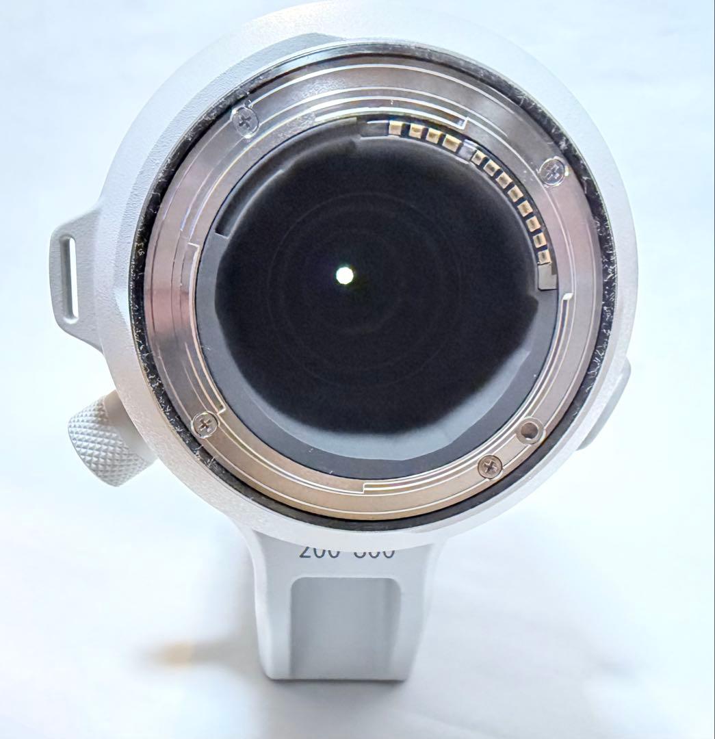 キヤノン RF200-800mm F6.3-9 IS USM 保護フィルター付