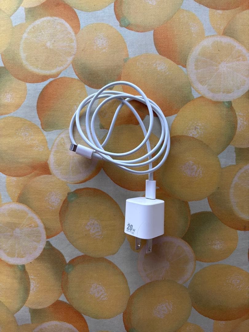 Apple iPad 第7世代 32GB スペースグレー カバー、充電器つき