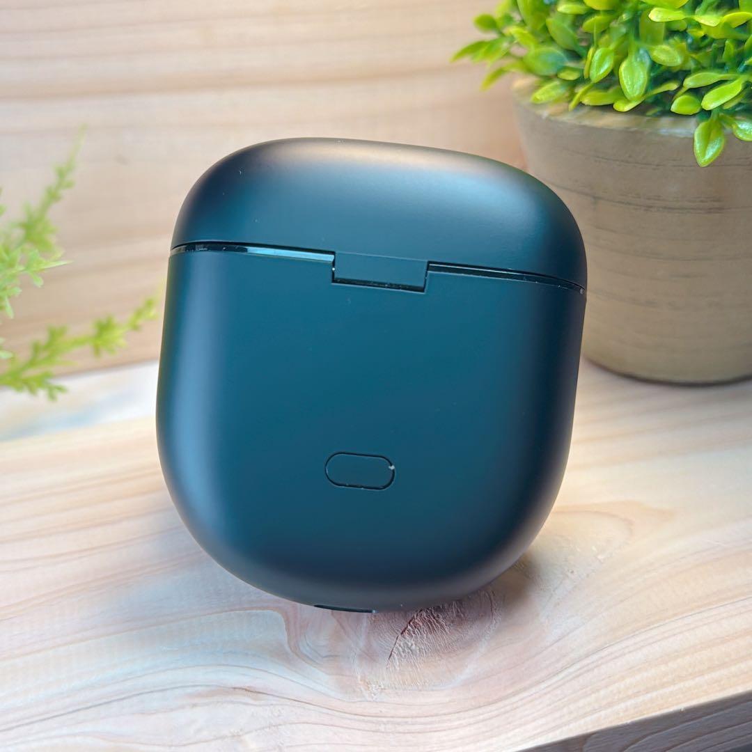 Bose QuietComfort Ultra Earbuds ケースのみ