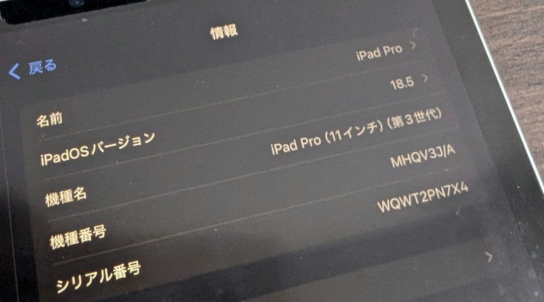 iPad Pro 第3世代 11インチ 256GB +ApplePencil2