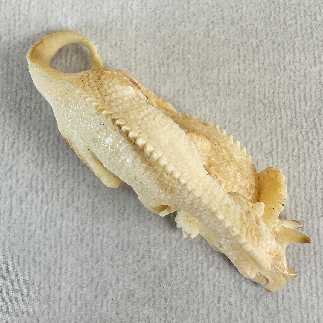 根付　置根付　恐竜　彫刻　セイウチ牙製　置物　ミ10