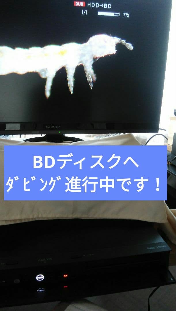 2B-C10CW1/21年製/二番組同録可/4k再生可/純正リモ付/実動確認美品