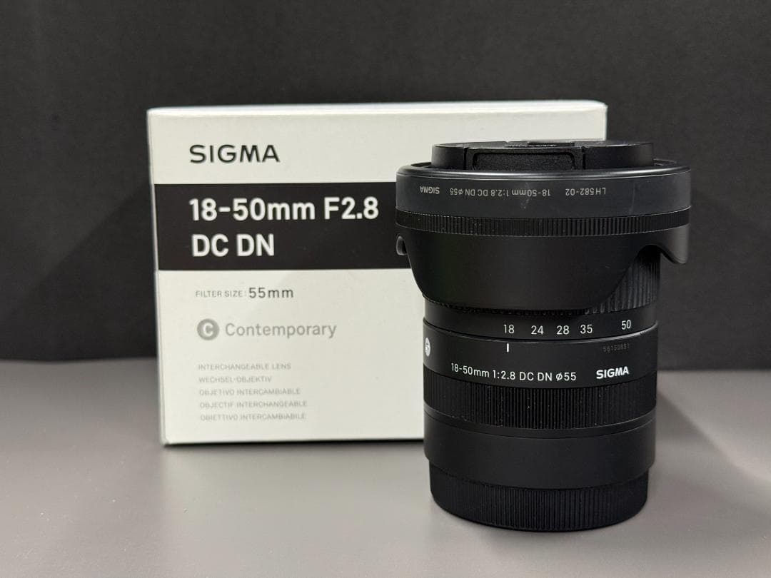 SONY α6100 ミラーレスカメラ SIGMAレンズセット