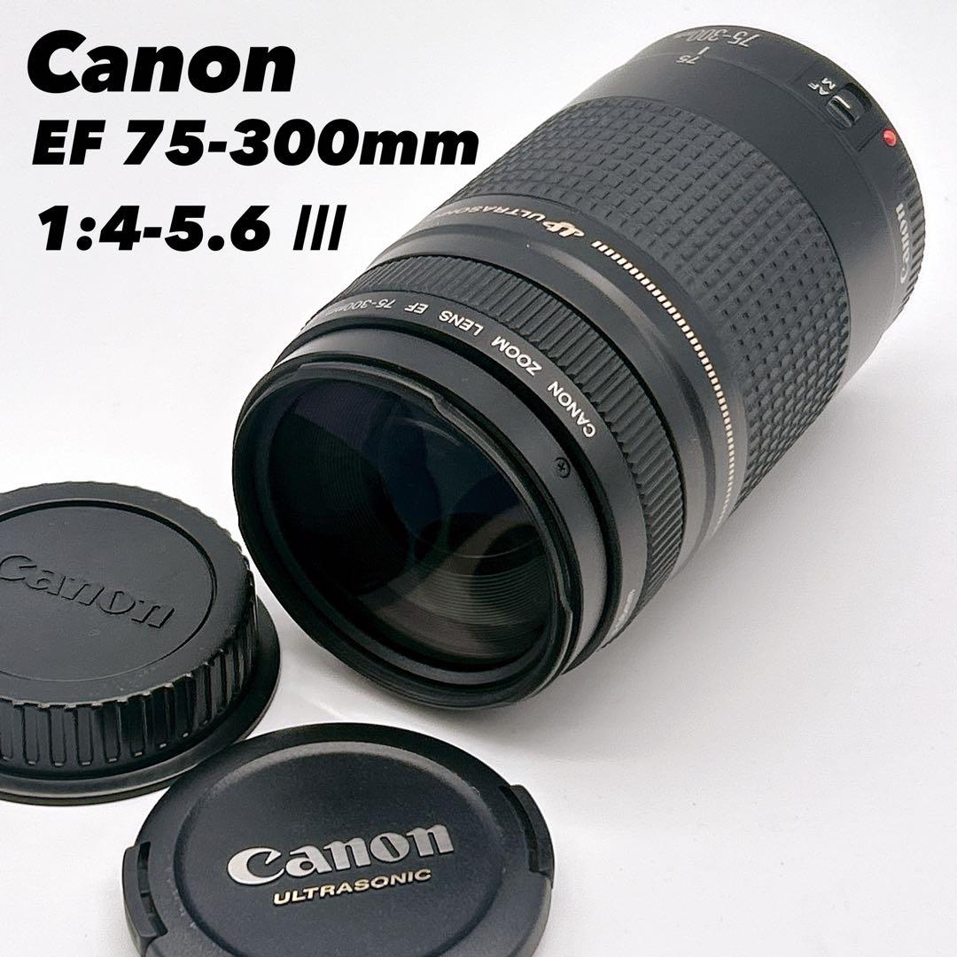 【美品】CANON 望遠レンズEF 75-300mm 1:4-5.6 Ⅱ