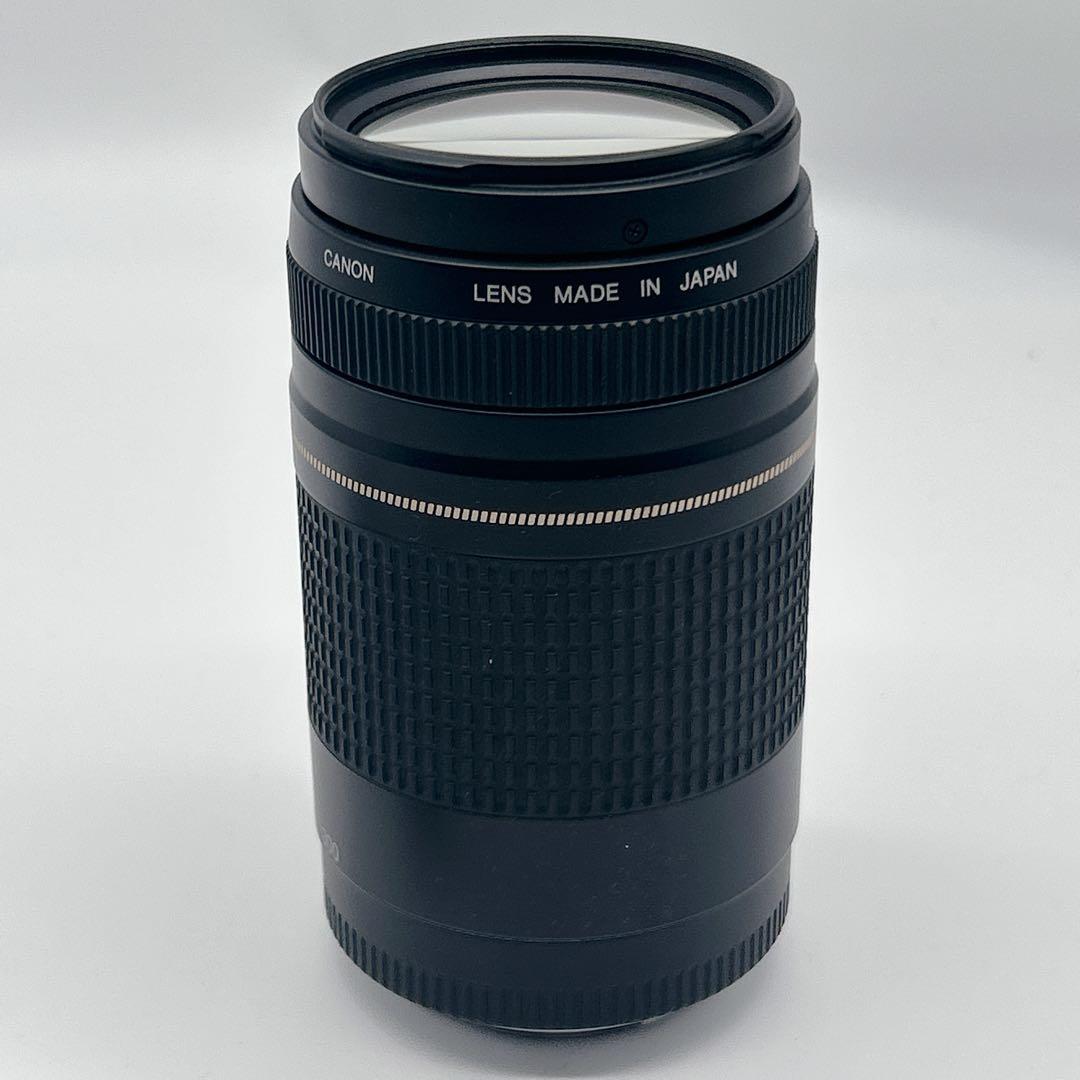 【美品】CANON 望遠レンズEF 75-300mm 1:4-5.6 Ⅱ