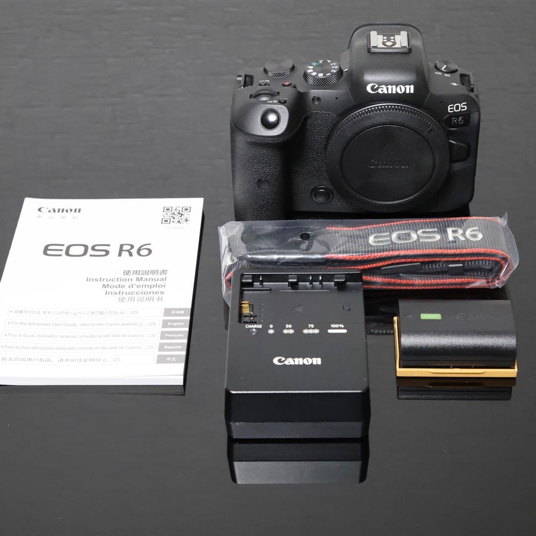 【ショット数5600回未満】Canon R6 美品｜子供撮影のみ