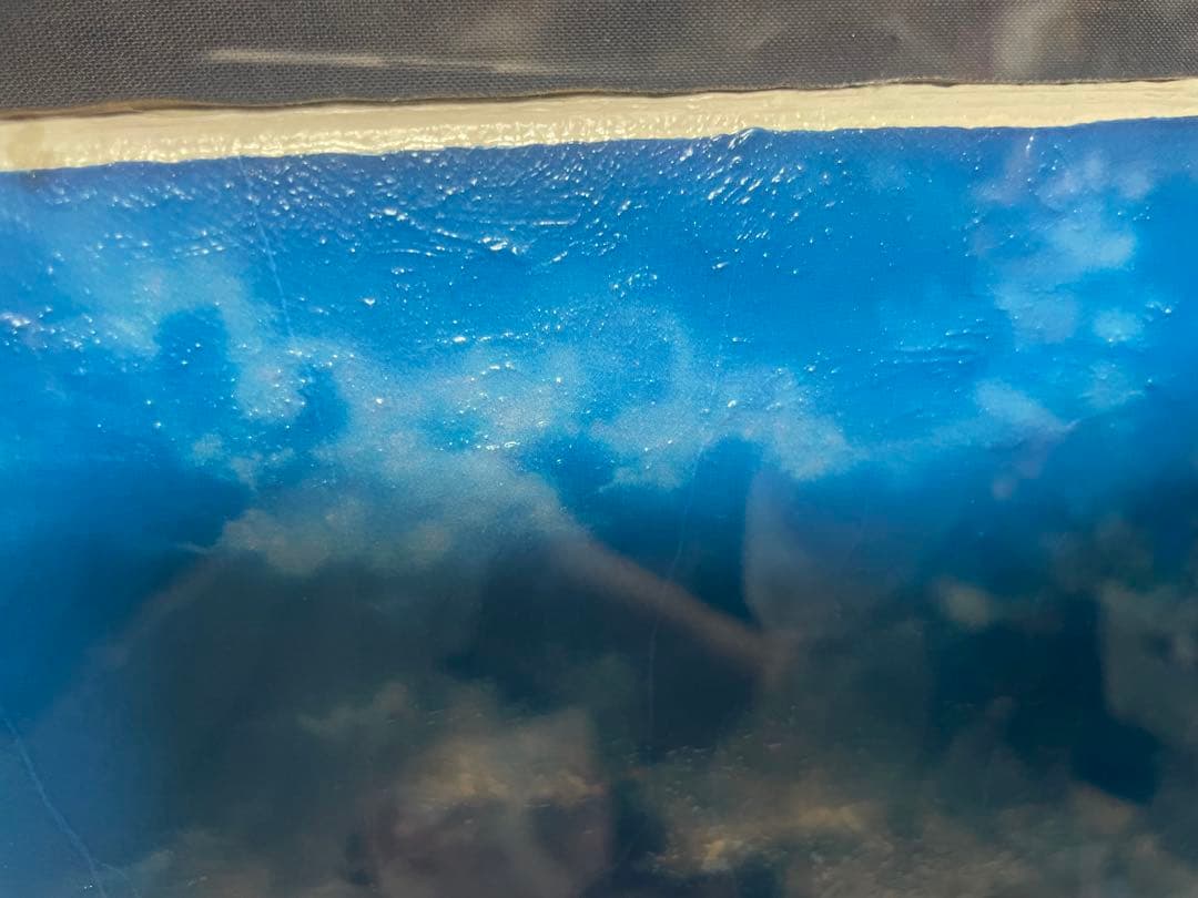 限定版クリスチャンラッセン「ラハイナ スターライト」C/E 2/475額装付き