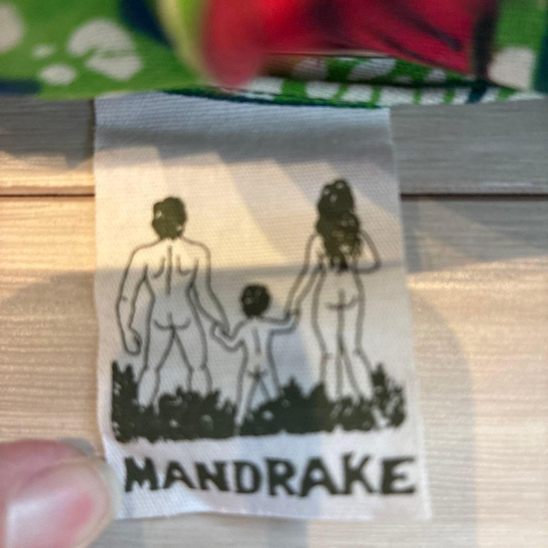 マンドレイク　日傘