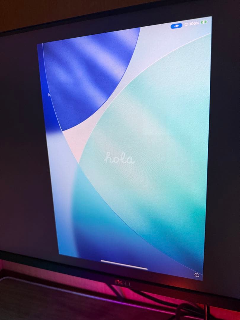 iPadpro11 第2世代 Wi-Fi 512G 画面割れ