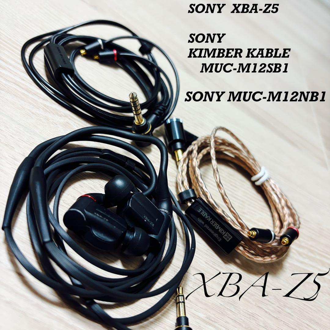 SONY XBA-Z5 12万円相当超豪華セット　本体・ケーブルのみ　動作確認済