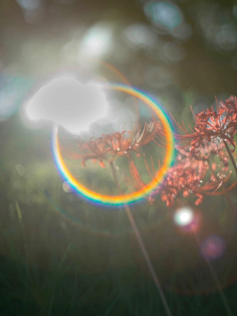 PENTAX Super Takumar 55mm f1.8 後期型