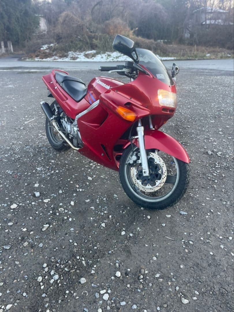 その他 ZZR250