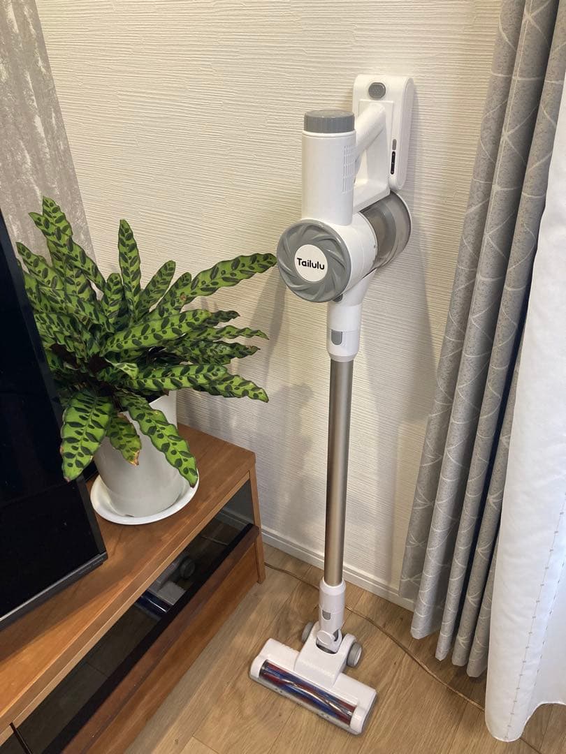 Tailuluスティッククリーナー E23