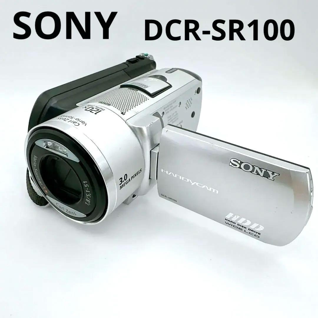 【動作品】 美品 SONY Handycam DCR-SR100 シルバーソニー