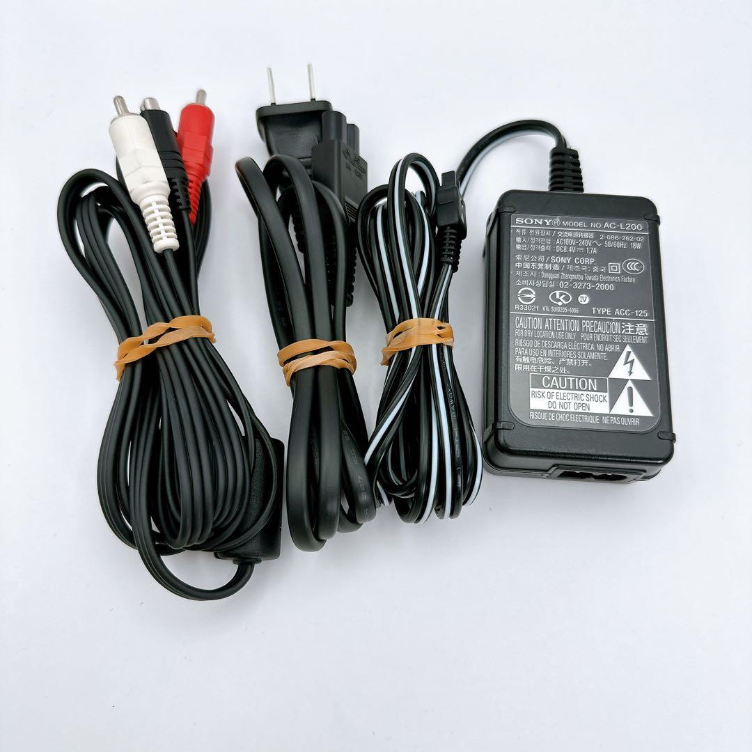 【動作品】 美品 SONY Handycam DCR-SR100 シルバーソニー