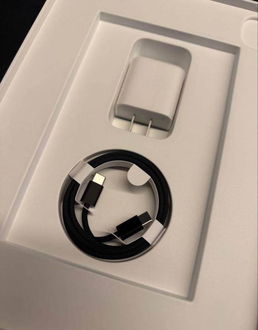 【極美品】iPad Pro M5/11インチ Wi-Fiモデル 256GB