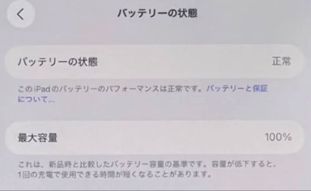 【極美品】iPad Pro M5/11インチ Wi-Fiモデル 256GB