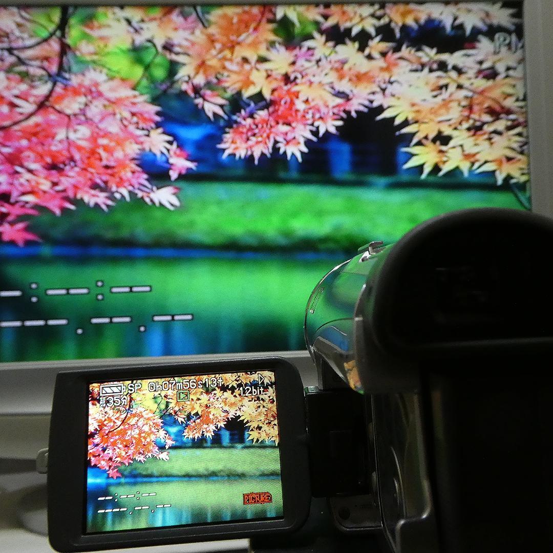 動作良好 パナソニック NV-GS200 MiniDV ビデオ ダビングに最適