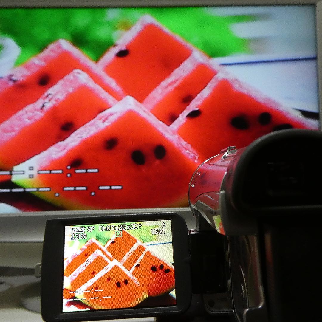 動作良好 パナソニック NV-GS200 MiniDV ビデオ ダビングに最適