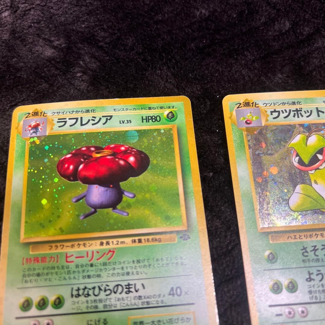 【良品〇】ポケカ　Pokéca 旧裏　ポケモンカード　草タイプ　まとめ