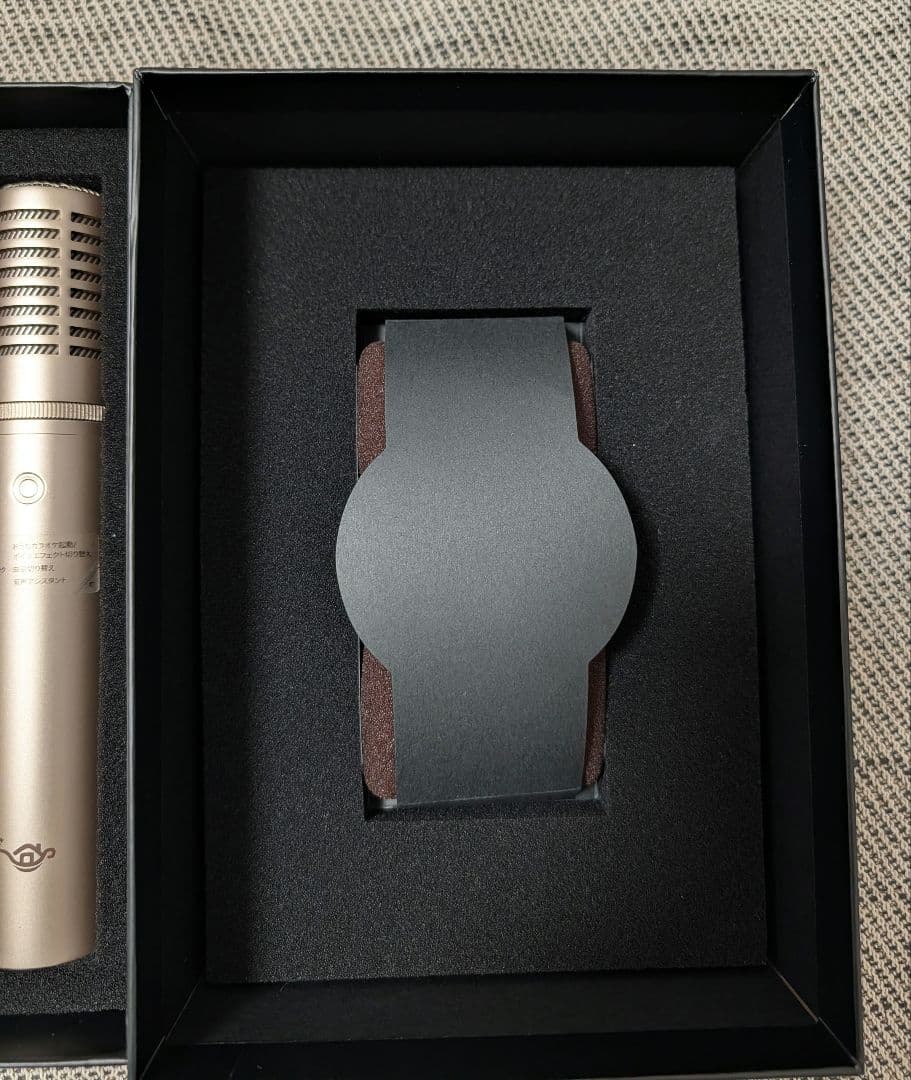 Aladdin Mic 2 マイク