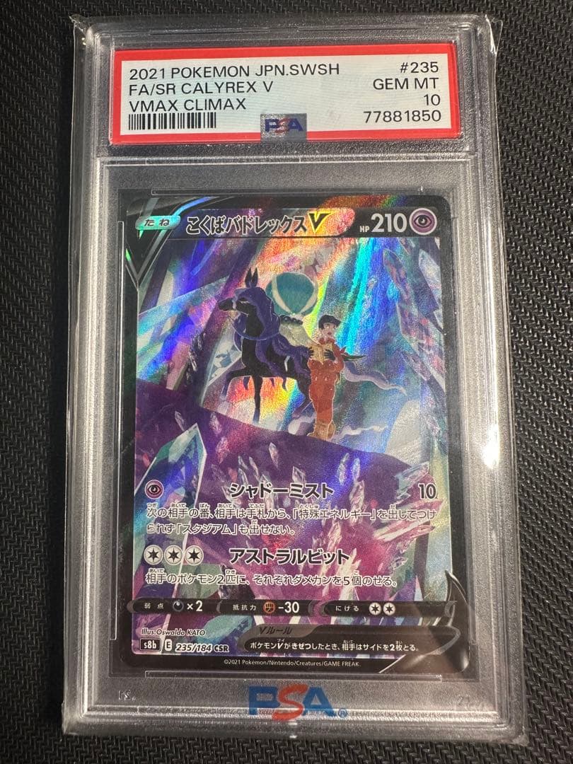 こくばバドレックスV csr psa10
