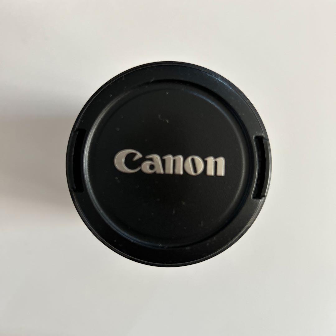 Canon EF-S 55-250mm ズームレンズ