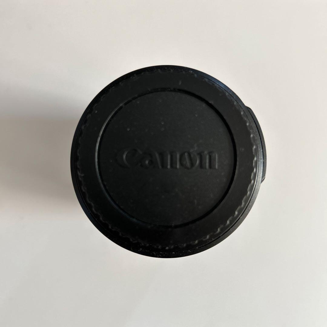 Canon EF-S 55-250mm ズームレンズ