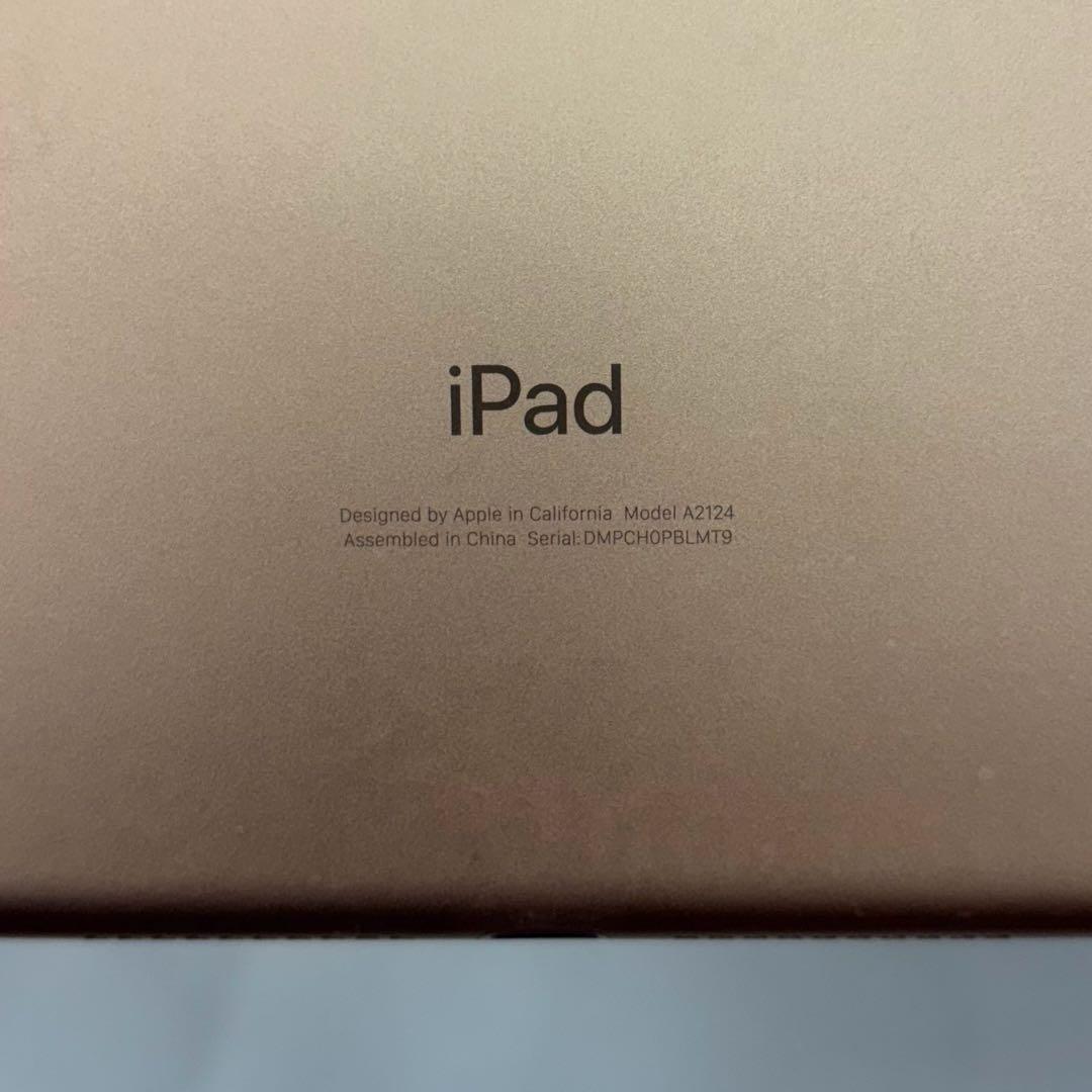 Apple iPad ゴールド 本体 第５世代