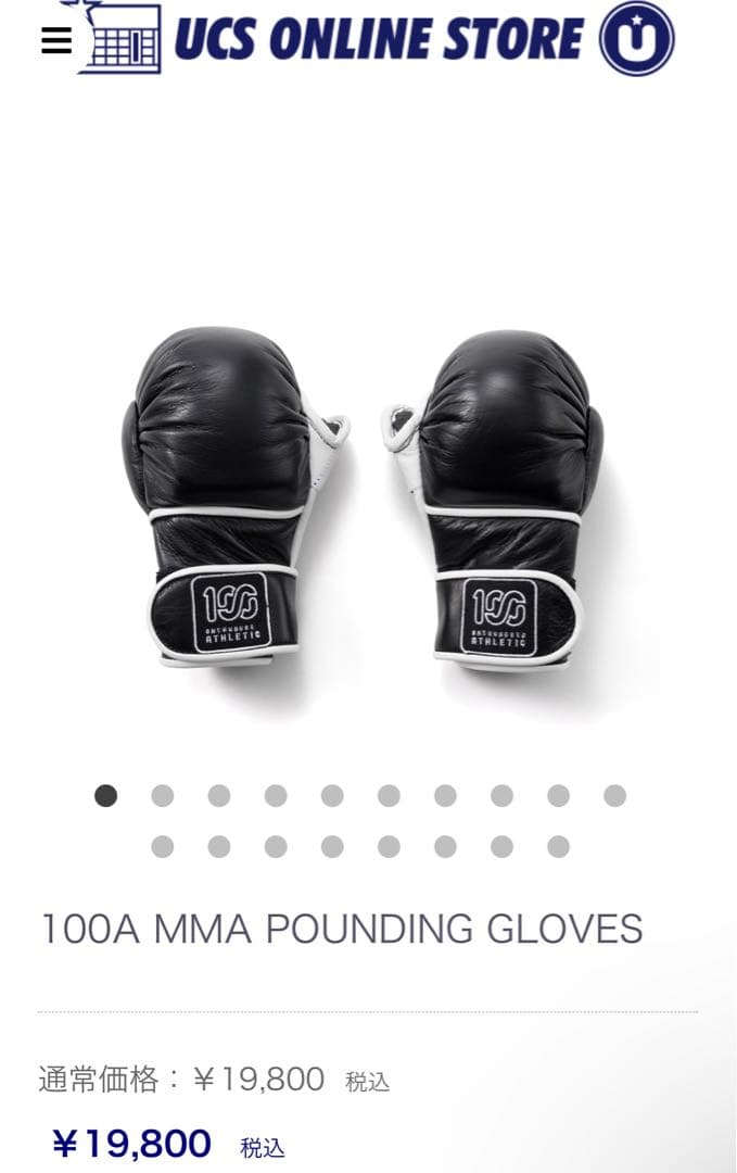 100A MMA Pounding Gloves 宇野薫