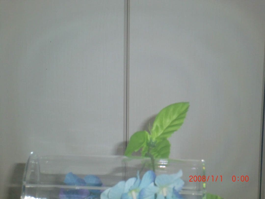 CASIO カメラ　EX-Z250 充電器　シルバー コンデジ　動作品