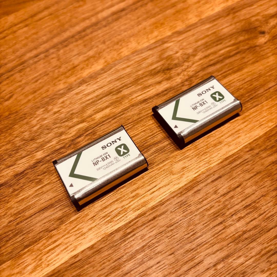 SONY HDR-CX470 ハンディカム　バッテリー2個