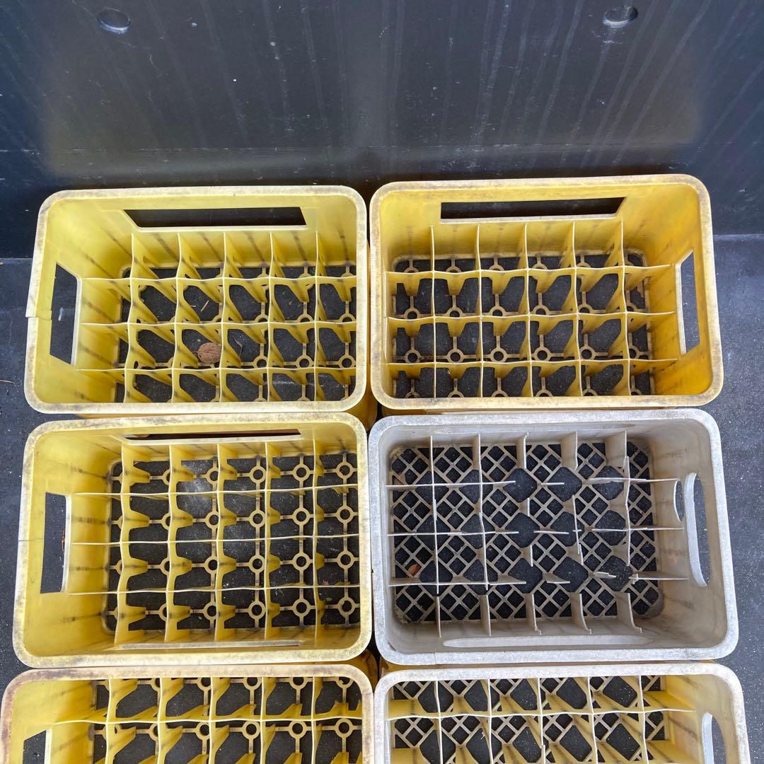 ジュース瓶ケース 8個　コンテナ　ケース　ボックス　ビールケース　マスコット　⑥