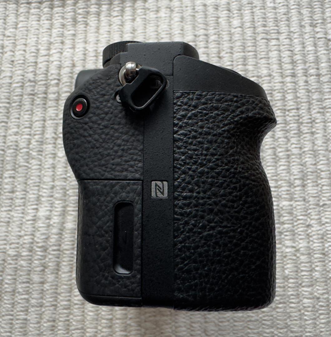 SONY α7 II ミラーレス一眼カメラ本体(充電器＆予備バッテリー付き)