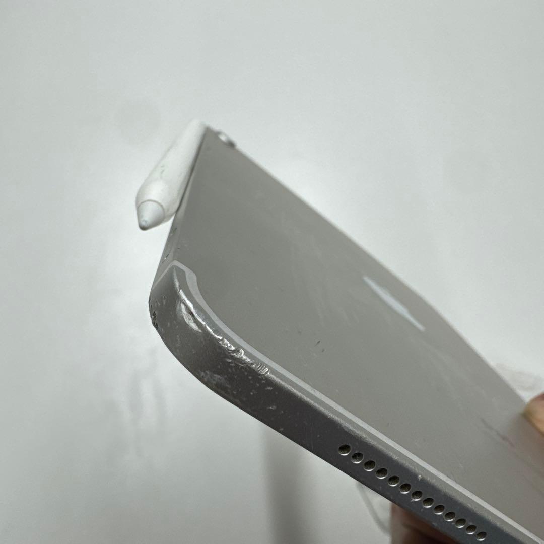 284）iPad PRO 11インチ 第1世代 256GB MU172J/A