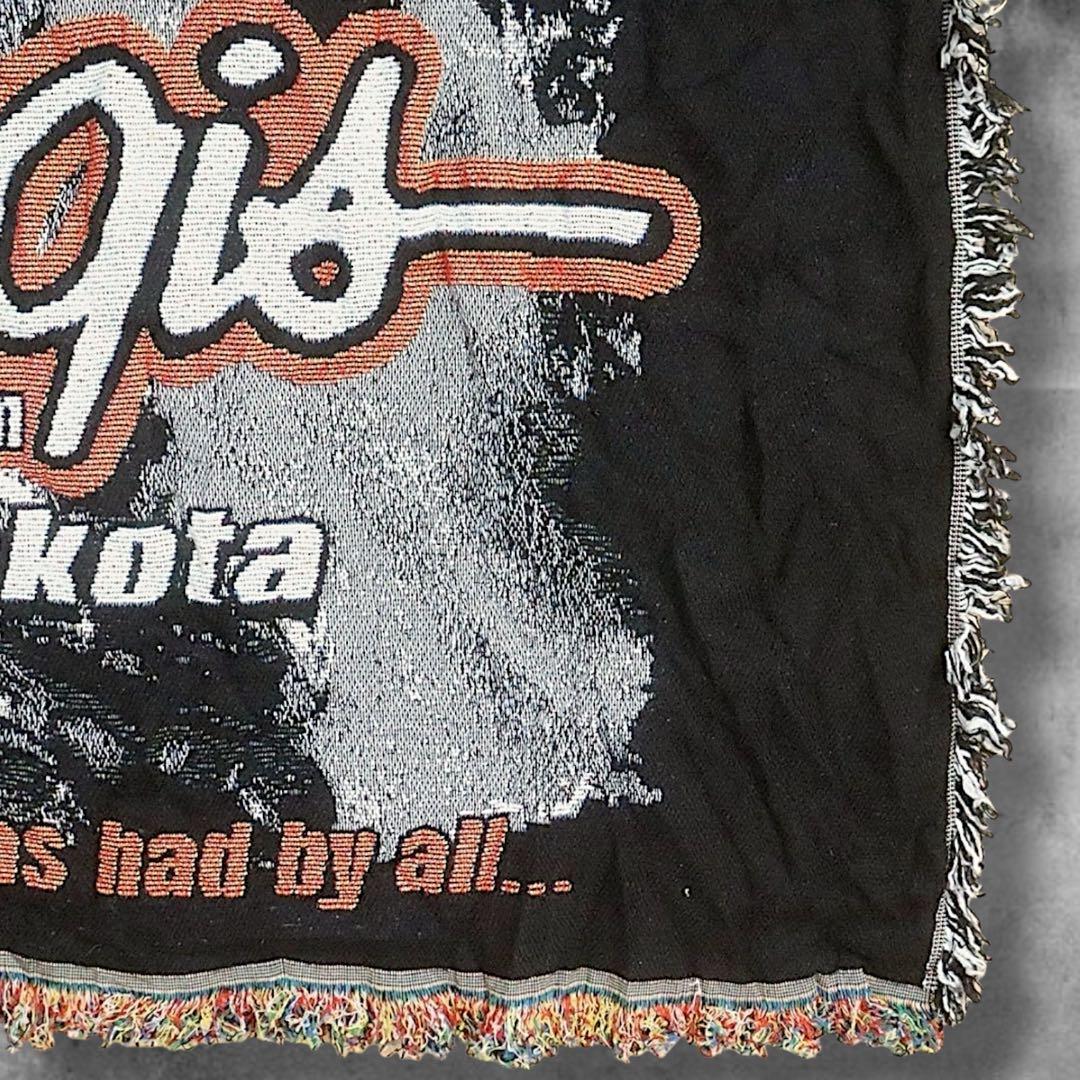 BPJD バイク ラグ ビンテージ 古着 ハーレーダビッドソン スタージス