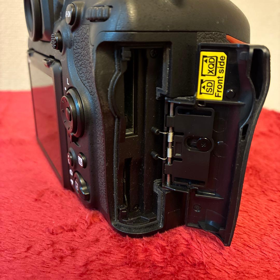 Nikon ニコン　D500