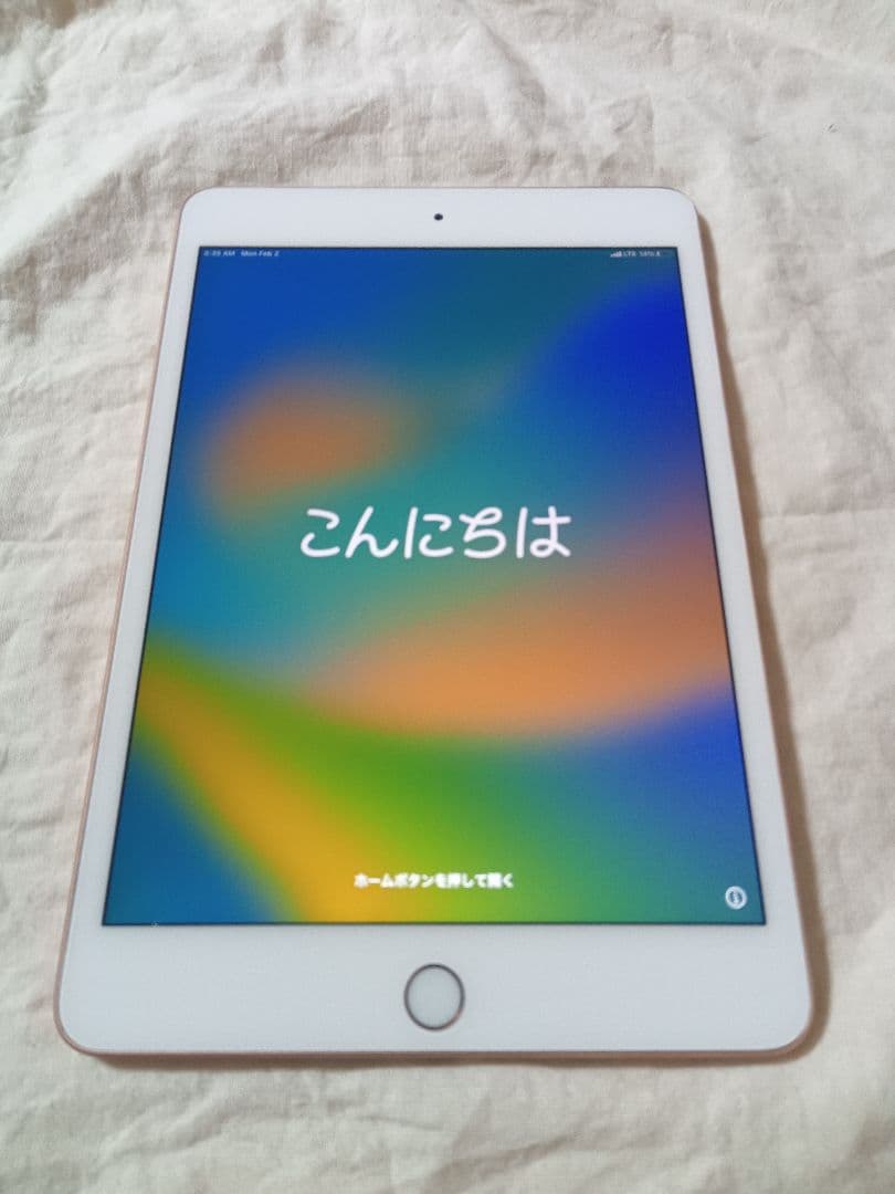 iPad mini 第5世代 バッテリー82%
