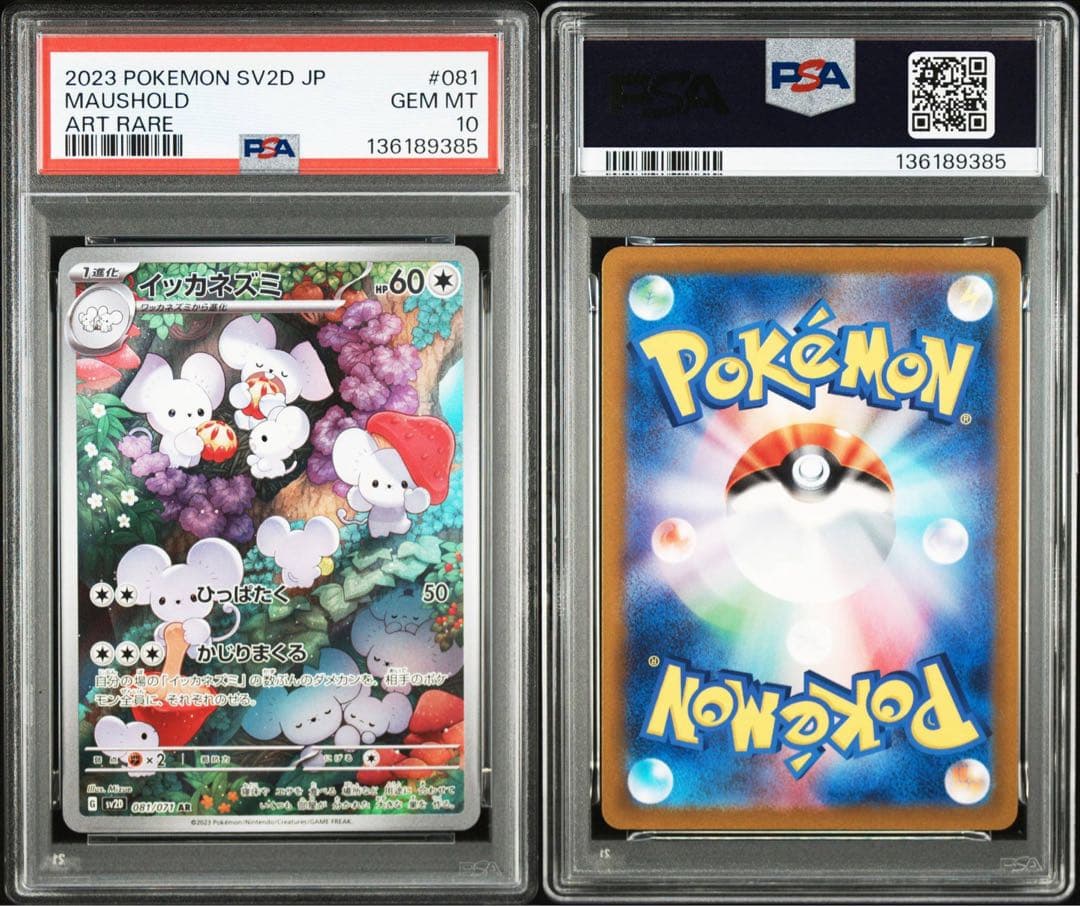 【PSA10】イッカネズミ AR[SV2D 081/071]