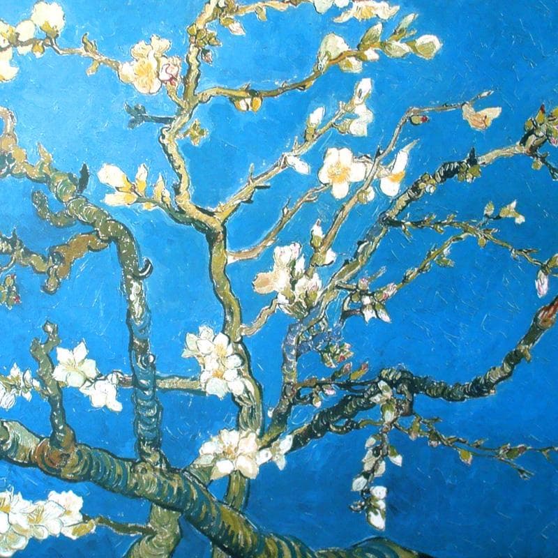 額装済/花咲くアーモンドの小枝/ゴッホ