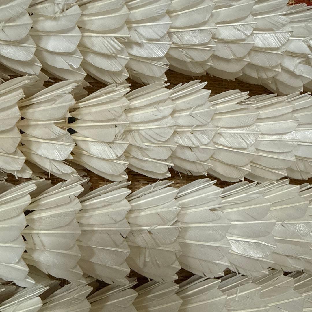 エアロセンサ700 中古シャトル 10本