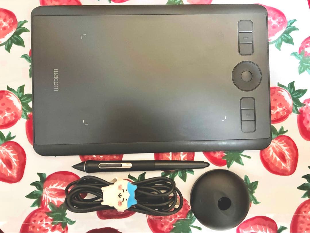 【動作確認済】Wacom Intuos Pro small ペンタブレット