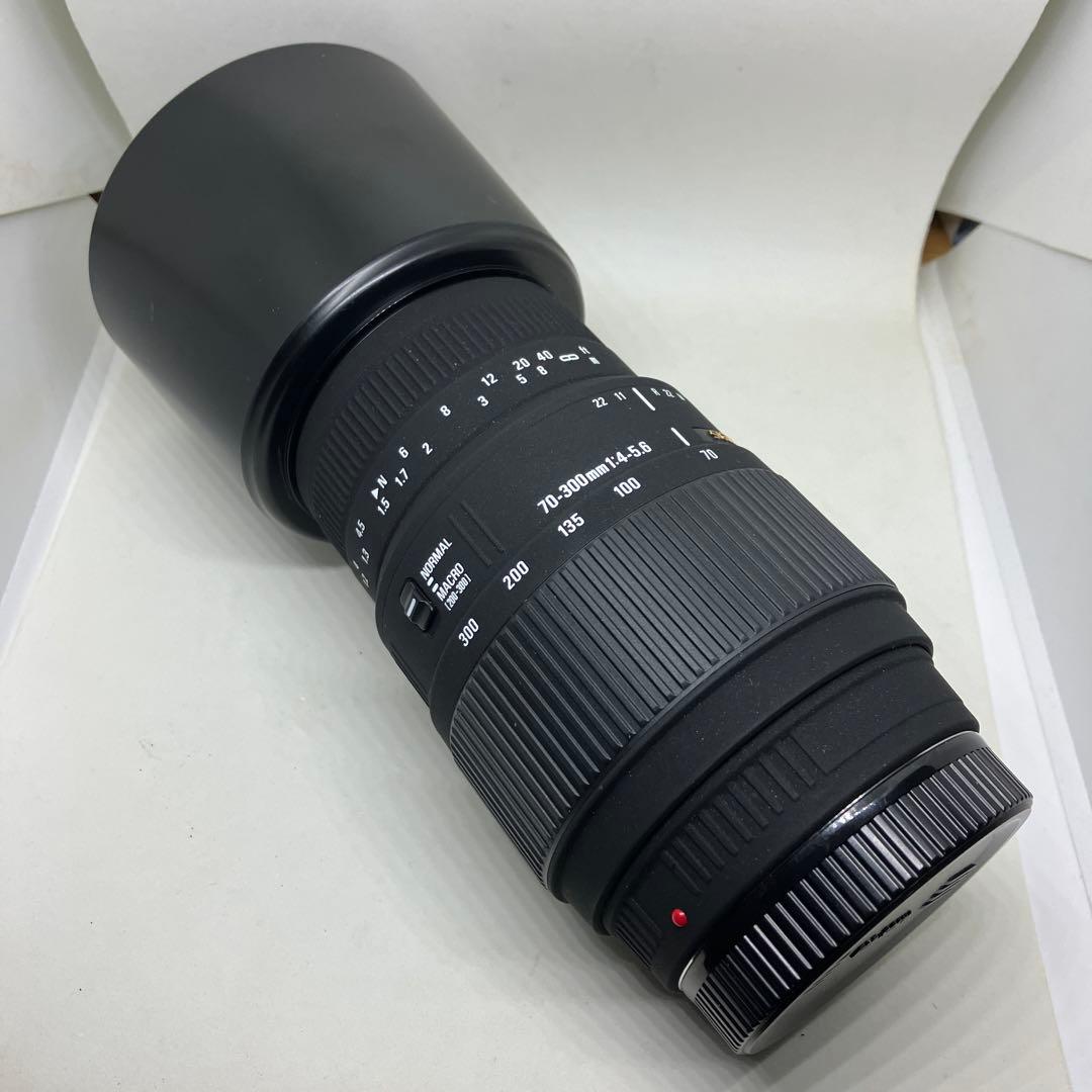 SIGMA 70-300mm F4-5.6 DG SONY用になります。
