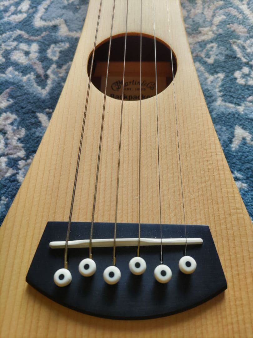 【美品】F.martin&Co 　マーティン　バックパッカー　ケース付き