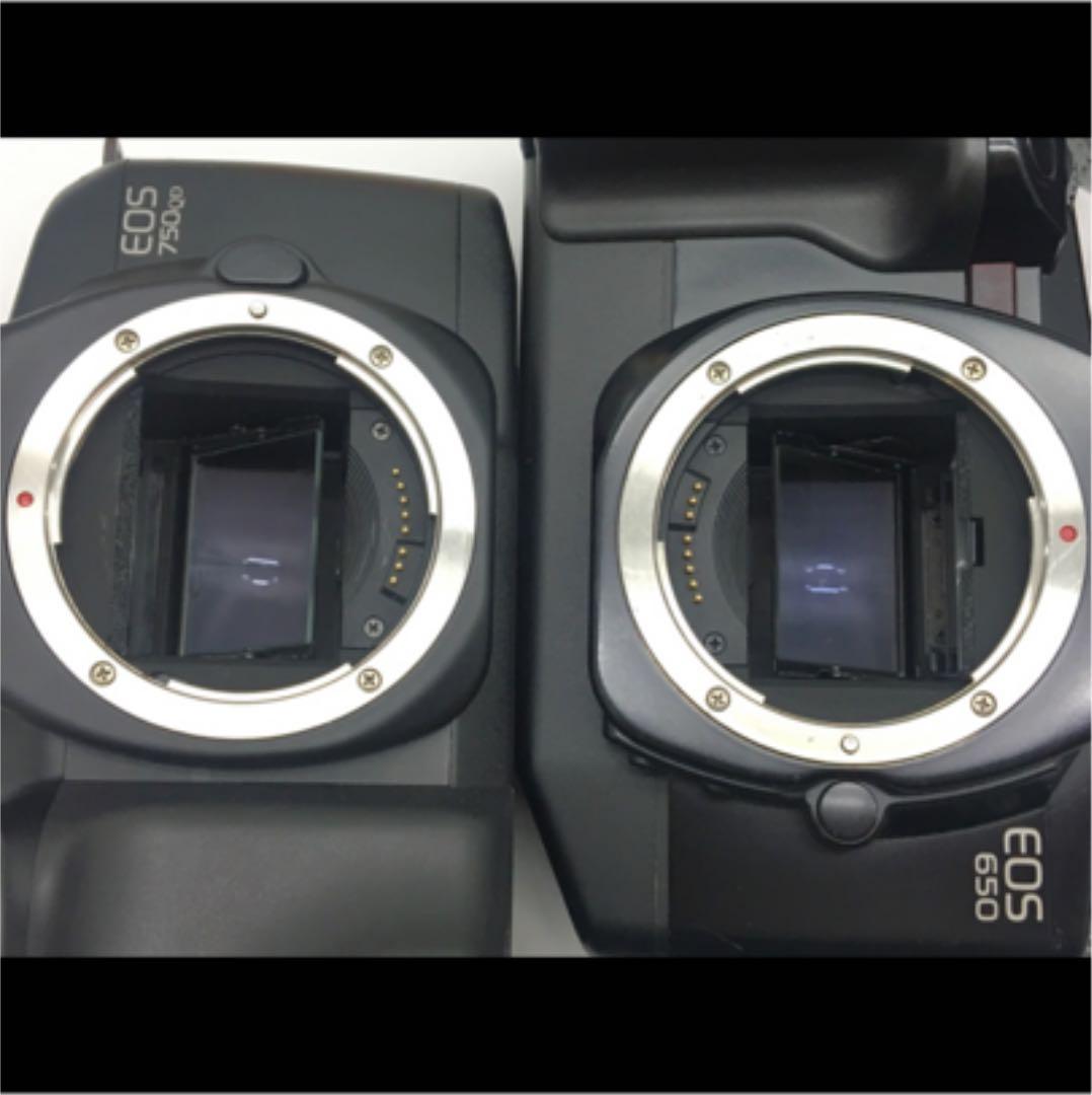 Canon Nikon 一眼レフカメラ 本体のみ 5点 まとめ ジャンク 中古