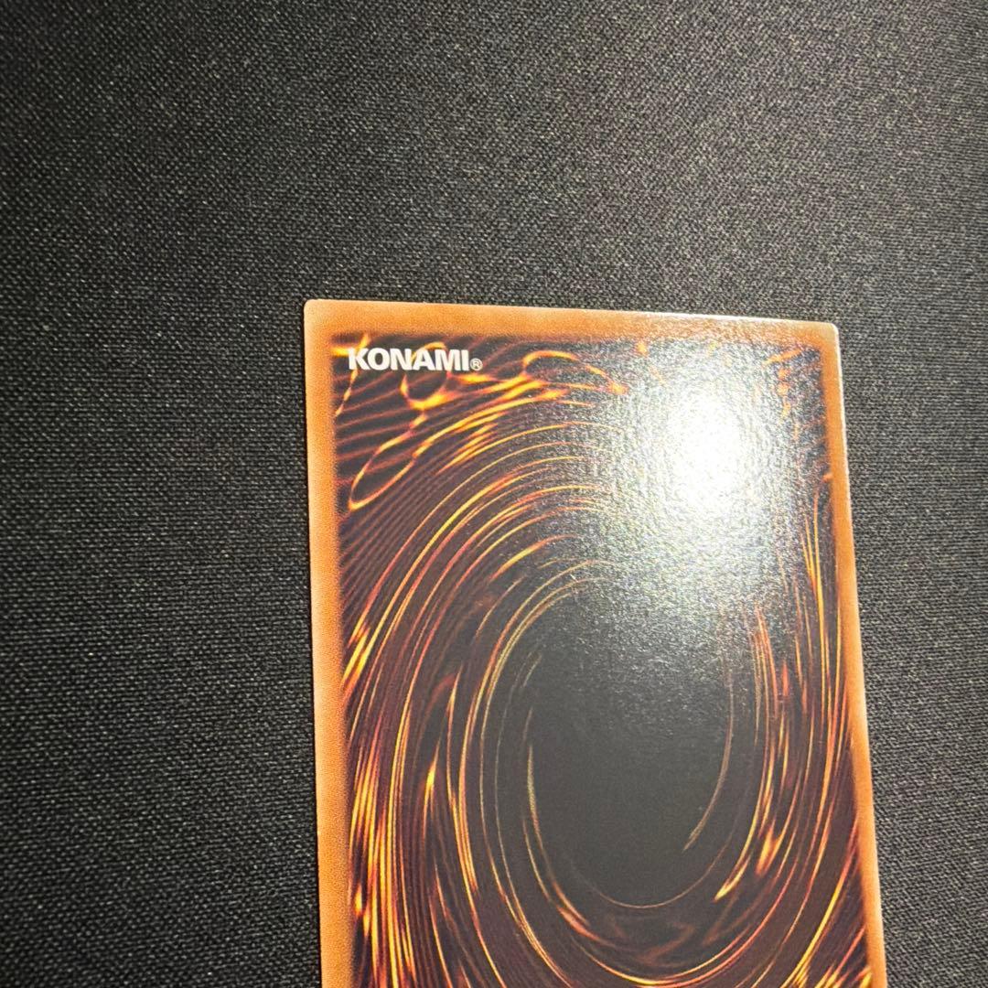 ブラックローズドラゴン ホロ 遊戯王