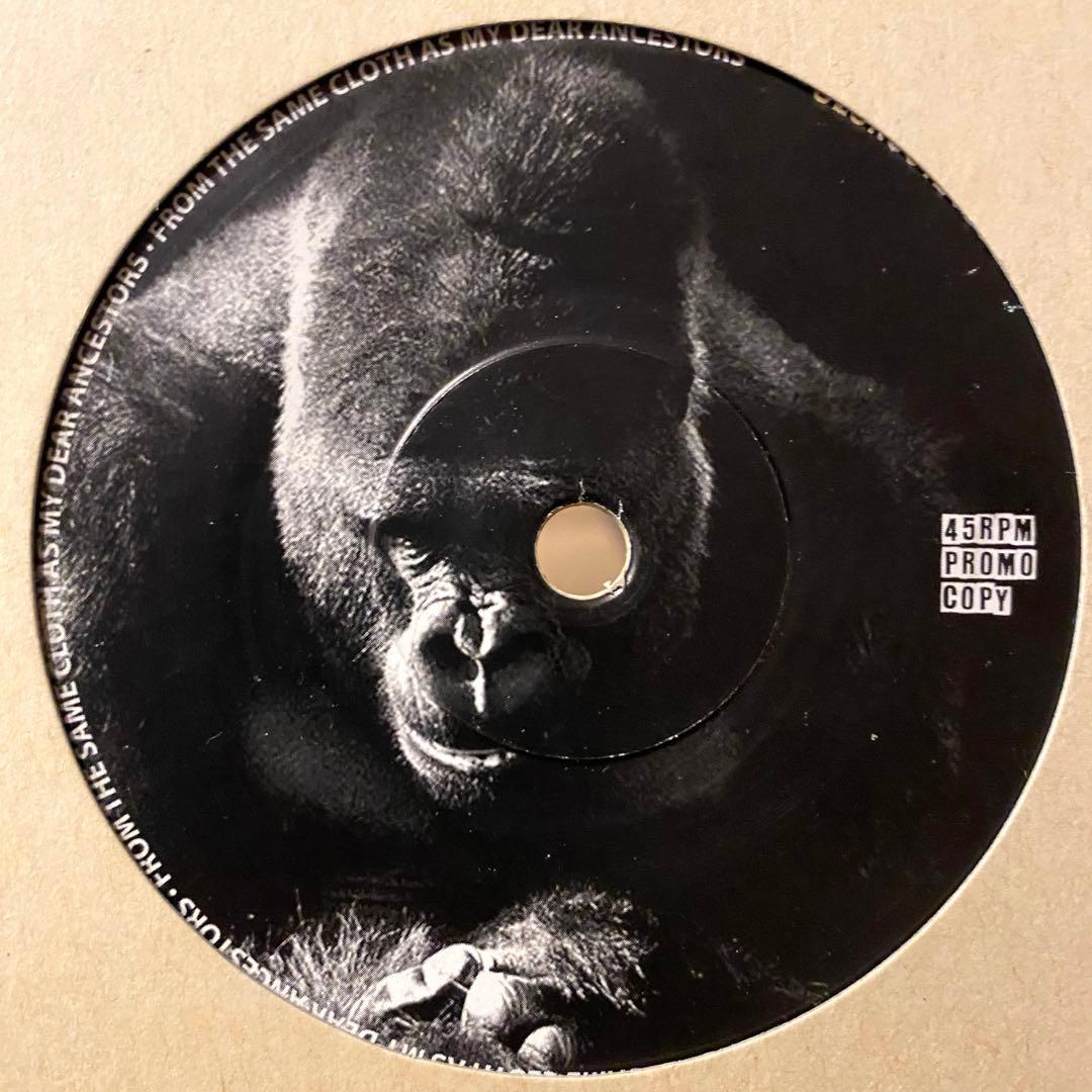 洋楽 Stephen Marley / Rock Stone